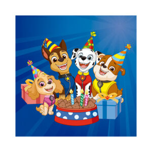 מפיות פאו פטרול 20 י"ח